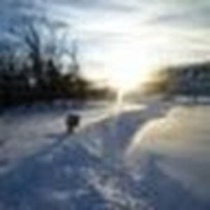 Meet your Posher, Alan